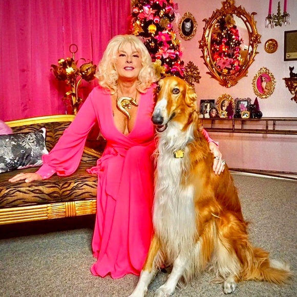 💗My handsome boy Stanley, my main squeeze. Borzoi puppy. - Picture 1 of 14